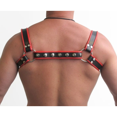 Mister B Halter Harness Black with Red