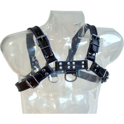 Chest Harness Black with Blue