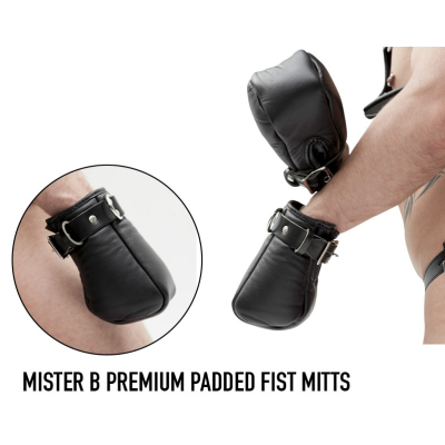 Mister B Premium Padded Fist Mitts