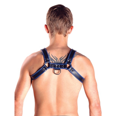 Chest Harness Black with Blue