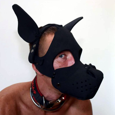 Master Series Neoprene Dog Hood with Removable Muzzle 