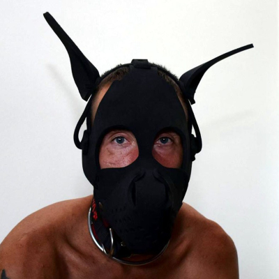 Master Series Neoprene Dog Hood with Removable Muzzle - neoprenová psí maska s odnímatelným náhubkem