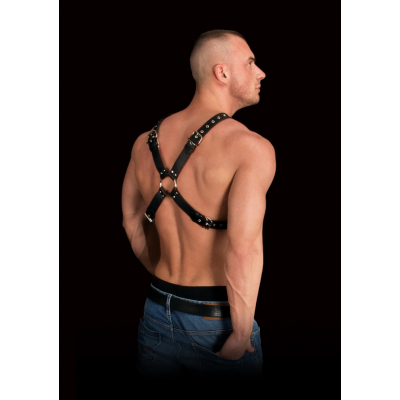 Shots OUCH Adonis High Halter