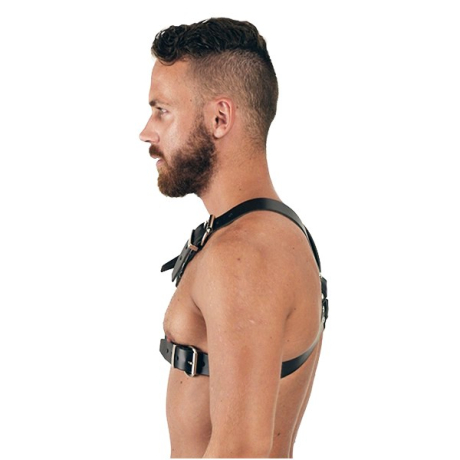 Mister B Y- Front Harness