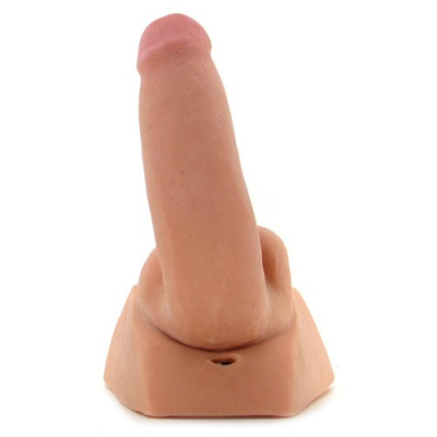 Topco AdamMale Toys Rock Hard CyberSkin Ass Stroker with Erect Cock - masturbátor s dildem 18 x 5 cm