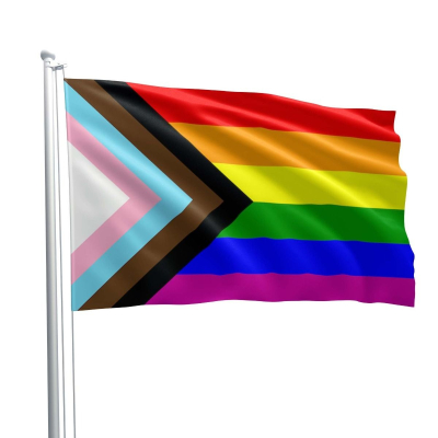 Mister B Progress Pride Flag - progresivní pride vlajka 90 x 150 cm 
