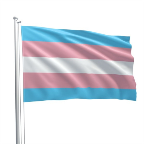 Transgender Pride Flag 90 x 150 cm