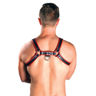 Mister B Leather Chest Harness Black with Red - kožený harnes