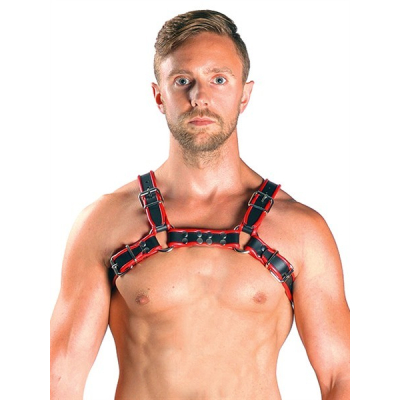 Mister B Leather Chest Harness Black with Red 