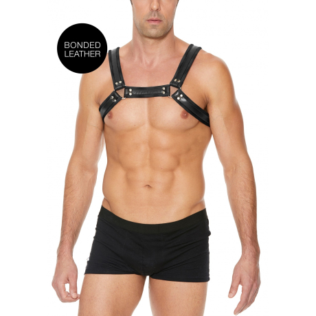 Shots OUCH Chest Buckle Bulldog Harness