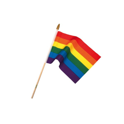 Rainbow flag on stick - duhová vlajka 15 x 10 cm