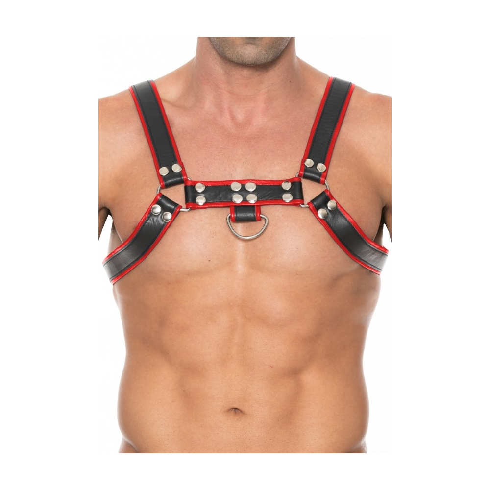Shots OUCH Chest Bulldog Harnes Black/Red